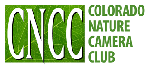 Colorado Nature Camera Club